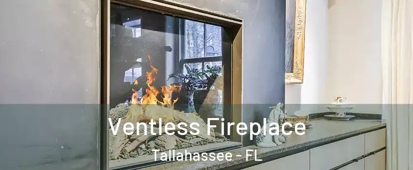  Ventless Fireplace Tallahassee - FL